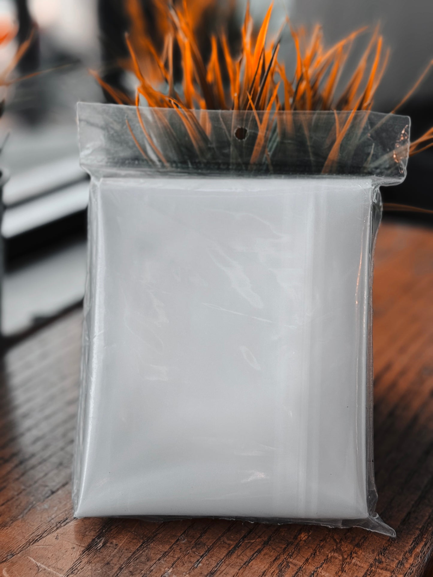 Brining Bag Back