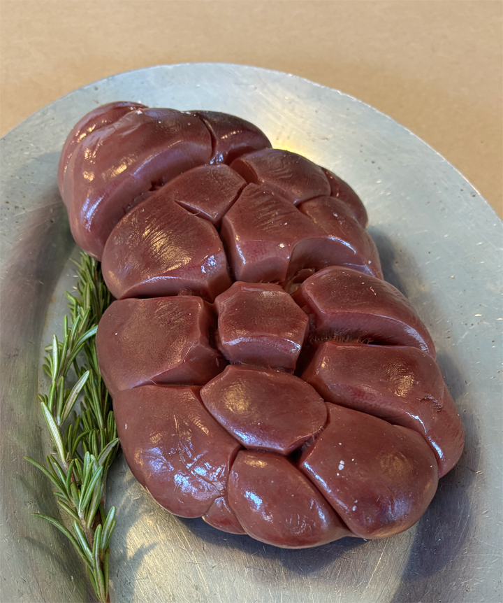 Beef Kidney