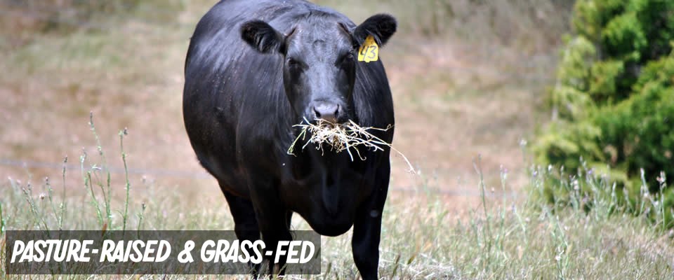 Pasture-Raised and Grass-Fed